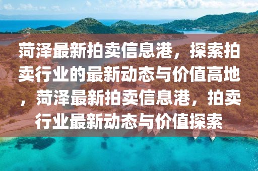 菏澤最新拍賣信息港，探索拍賣行業(yè)的最新動(dòng)態(tài)與價(jià)值高地，菏澤最新拍賣信息港，拍賣行業(yè)最新動(dòng)態(tài)與價(jià)值探索