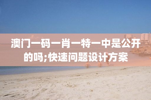 澳門一碼一肖一特一中是公開的嗎;快速問題設計方案