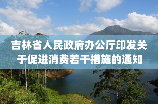 吉林省人民政府辦公廳印發(fā)關(guān)于促進(jìn)消費(fèi)若干措施的通知