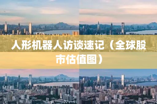 人形機(jī)器人訪談速記（全球股市估值圖）
