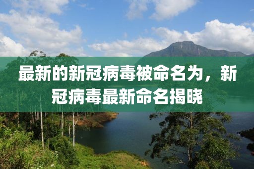 最新的新冠病毒被命名為，新冠病毒最新命名揭曉
