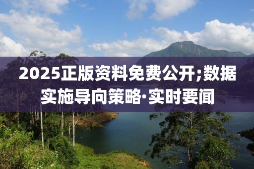 2025正版資料免費(fèi)公開(kāi);數(shù)據(jù)實(shí)施導(dǎo)向策略·實(shí)時(shí)要聞