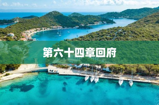 第六十四章回府