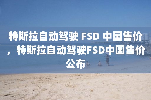 特斯拉自動駕駛 FSD 中國售價，特斯拉自動駕駛FSD中國售價公布