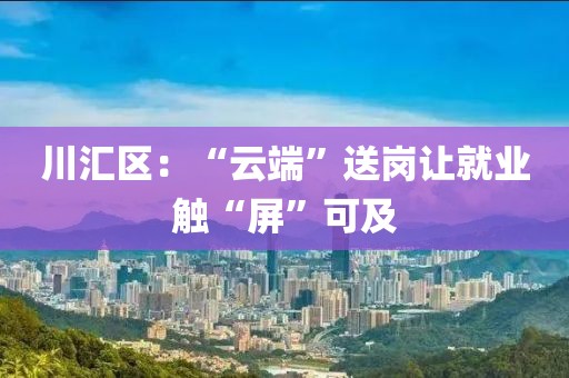 川匯區(qū)：“云端”送崗讓就業(yè)觸“屏”可及