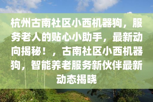 杭州古南社區(qū)小西機(jī)器狗，服務(wù)老人的貼心小助手，最新動(dòng)向揭秘！，古南社區(qū)小西機(jī)器狗，智能養(yǎng)老服務(wù)新伙伴最新動(dòng)態(tài)揭曉
