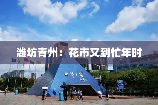濰坊青州：花市又到忙年時