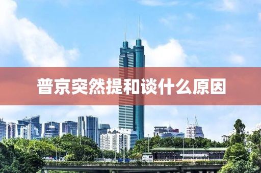 普京突然提和談什么原因