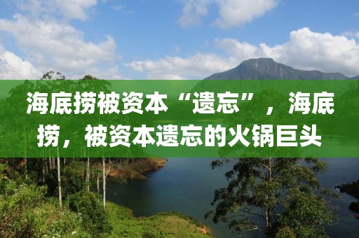 海底撈被資本“遺忘”，海底撈，被資本遺忘的火鍋巨頭