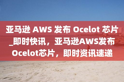 亞馬遜 AWS 發(fā)布 Ocelot 芯片_即時(shí)快訊，亞馬遜AWS發(fā)布Ocelot芯片，即時(shí)資訊速遞