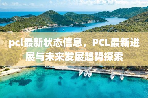 pcl最新狀態(tài)信息，PCL最新進(jìn)展與未來發(fā)展趨勢(shì)探索
