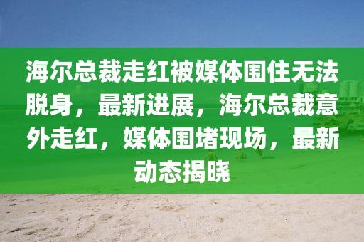 海爾總裁走紅被媒體圍住無法脫身，最新進展，海爾總裁意外走紅，媒體圍堵現(xiàn)場，最新動態(tài)揭曉
