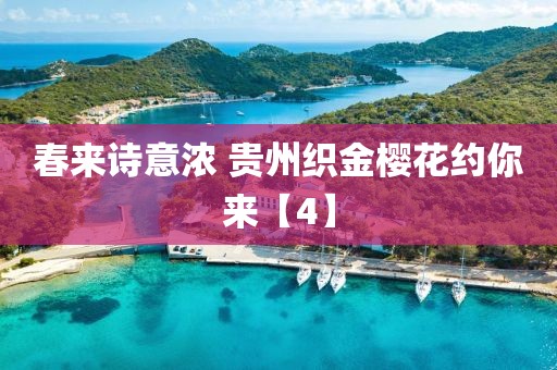 春來詩意濃 貴州織金櫻花約你來【4】