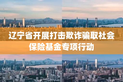 遼寧省開(kāi)展打擊欺詐騙取社會(huì)保險(xiǎn)基金專(zhuān)項(xiàng)行動(dòng)