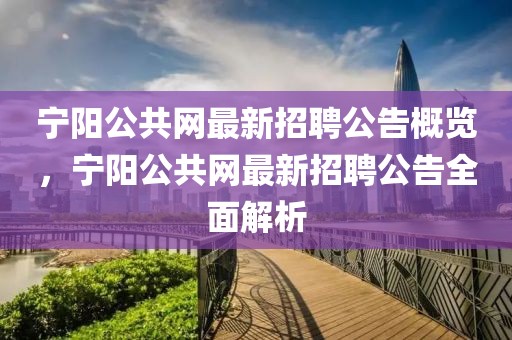 寧陽(yáng)公共網(wǎng)最新招聘公告概覽，寧陽(yáng)公共網(wǎng)最新招聘公告全面解析