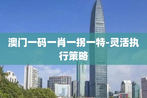 澳門一碼一肖一拐一特-靈活執(zhí)行策略