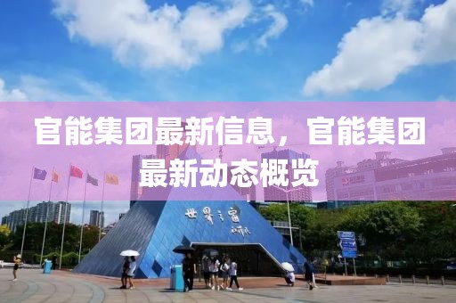 官能集團(tuán)最新信息，官能集團(tuán)最新動態(tài)概覽