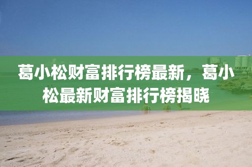 葛小松財富排行榜最新，葛小松最新財富排行榜揭曉