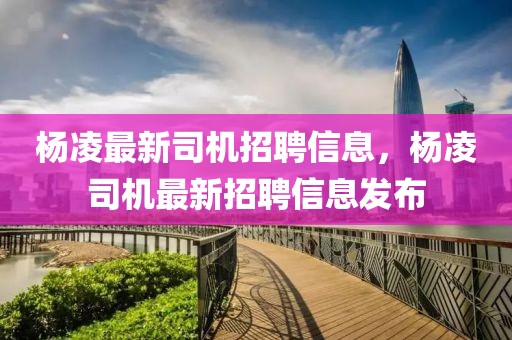 楊凌最新司機招聘信息，楊凌司機最新招聘信息發(fā)布