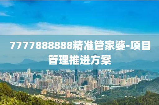 7777888888精準管家婆-項目管理推進方案