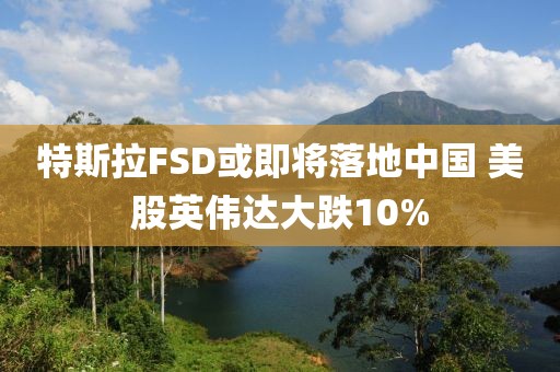 特斯拉FSD或即將落地中國(guó) 美股英偉達(dá)大跌10%