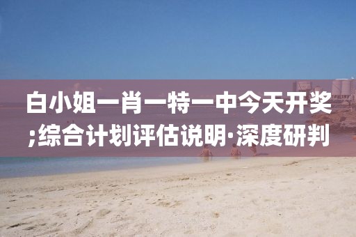 白小姐一肖一特一中今天開獎;綜合計劃評估說明·深度研判