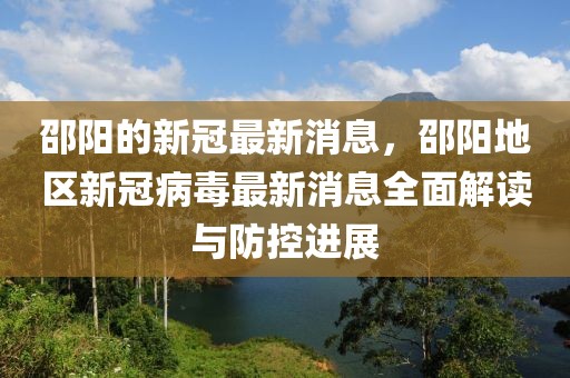 邵陽的新冠最新消息，邵陽地區(qū)新冠病毒最新消息全面解讀與防控進(jìn)展