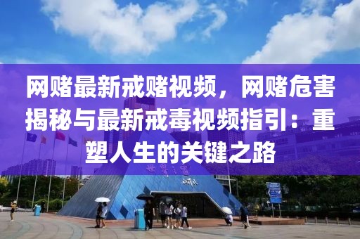 網(wǎng)賭最新戒賭視頻，網(wǎng)賭危害揭秘與最新戒毒視頻指引：重塑人生的關鍵之路