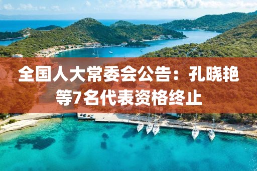 全國人大常委會公告：孔曉艷等7名代表資格終止