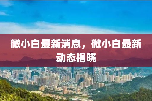 微小白最新消息，微小白最新動(dòng)態(tài)揭曉