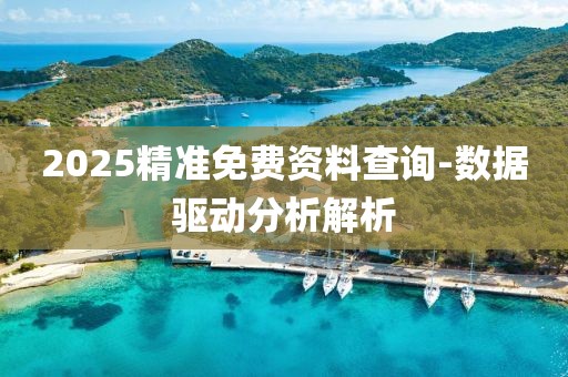 2025精準(zhǔn)免費(fèi)資料查詢-數(shù)據(jù)驅(qū)動(dòng)分析解析