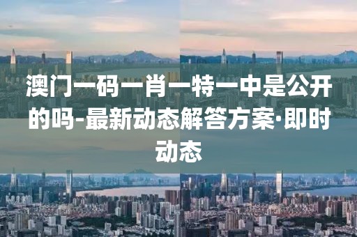 澳門一碼一肖一特一中是公開的嗎-最新動態(tài)解答方案·即時動態(tài)