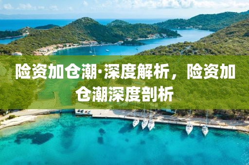 險(xiǎn)資加倉(cāng)潮·深度解析，險(xiǎn)資加倉(cāng)潮深度剖析