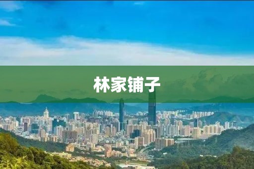林家鋪?zhàn)?></div><div   id=