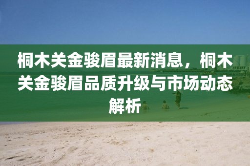 桐木關(guān)金駿眉最新消息，桐木關(guān)金駿眉品質(zhì)升級與市場動態(tài)解析