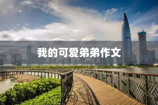 我的可愛弟弟作文