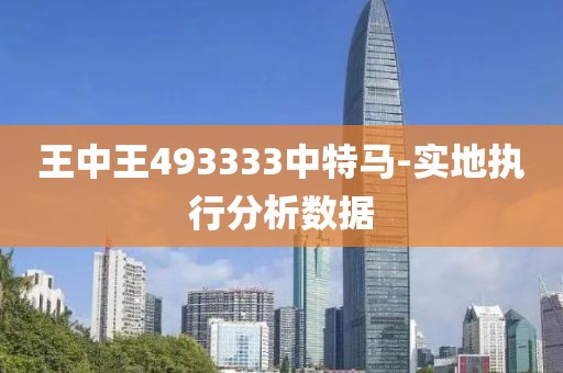 王中王493333中特馬-實(shí)地執(zhí)行分析數(shù)據(jù)