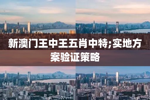 新澳門王中王五肖中特;實(shí)地方案驗(yàn)證策略