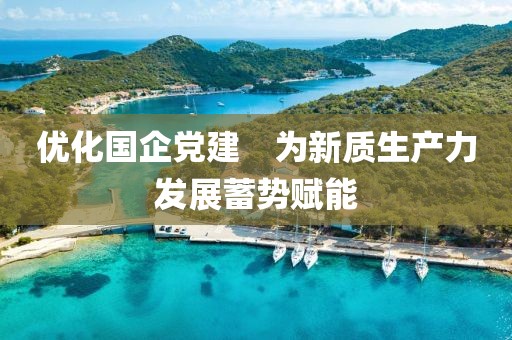 優(yōu)化國企黨建　為新質(zhì)生產(chǎn)力發(fā)展蓄勢賦能