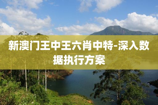 新澳門王中王六肖中特-深入數(shù)據(jù)執(zhí)行方案