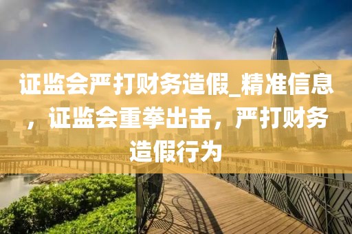 證監(jiān)會嚴(yán)打財務(wù)造假_精準(zhǔn)信息，證監(jiān)會重拳出擊，嚴(yán)打財務(wù)造假行為