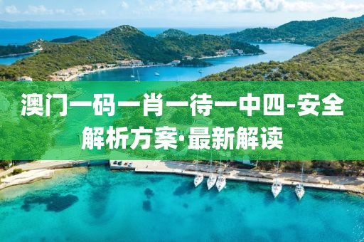 澳門一碼一肖一待一中四-安全解析方案·最新解讀