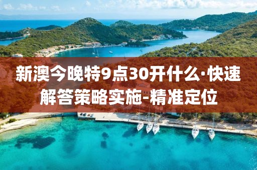 新澳今晚特9點(diǎn)30開什么·快速解答策略實(shí)施-精準(zhǔn)定位