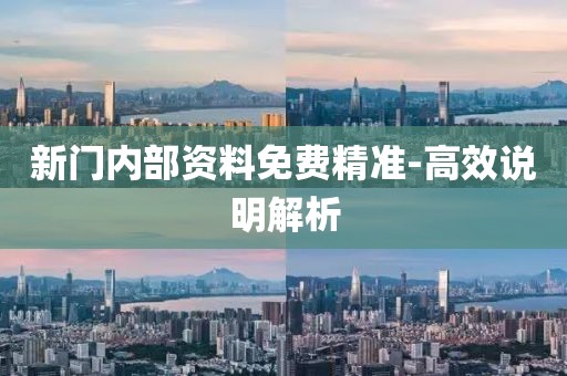 新門內(nèi)部資料免費(fèi)精準(zhǔn)-高效說明解析