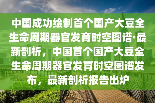 中國成功繪制首個國產(chǎn)大豆全生命周期器官發(fā)育時空圖譜·最新剖析，中國首個國產(chǎn)大豆全生命周期器官發(fā)育時空圖譜發(fā)布，最新剖析報告出爐