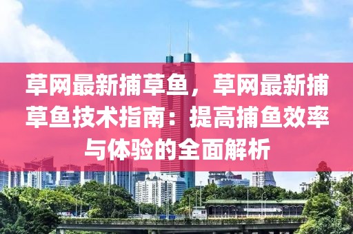 草網(wǎng)最新捕草魚，草網(wǎng)最新捕草魚技術指南：提高捕魚效率與體驗的全面解析
