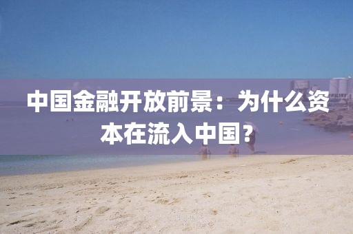 中國金融開放前景：為什么資本在流入中國？
