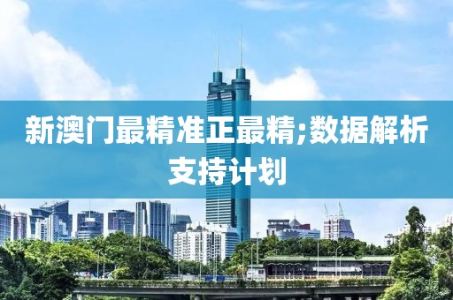 新澳門最精準(zhǔn)正最精;數(shù)據(jù)解析支持計(jì)劃