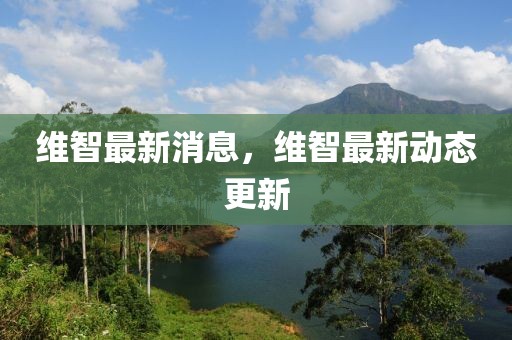 維智最新消息，維智最新動態(tài)更新