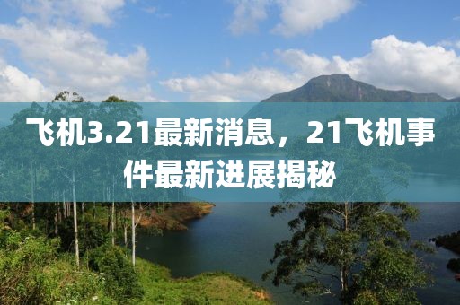 飛機3.21最新消息，21飛機事件最新進展揭秘